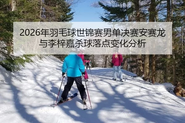 2026年羽毛球世锦赛男单决赛安赛龙与李梓嘉杀球落点变化分析